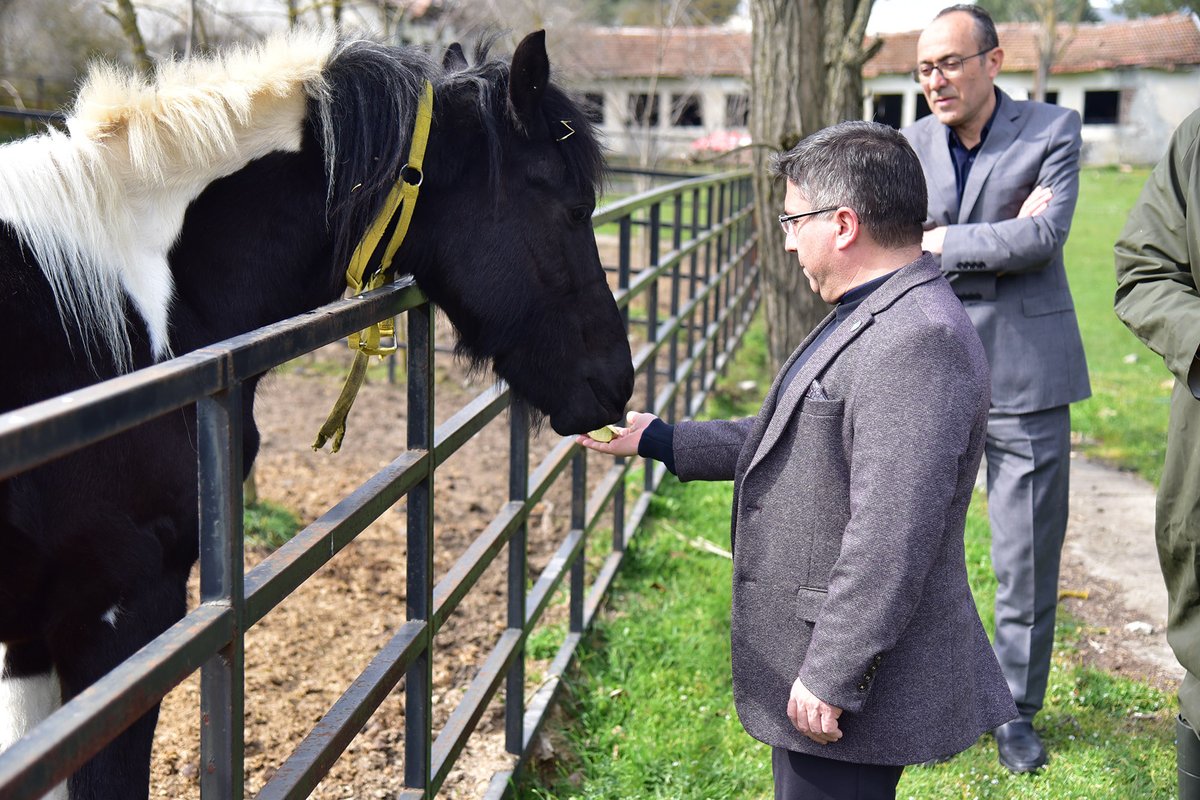 Balıkesir Üniversitesi / Balıkesir University tweet media