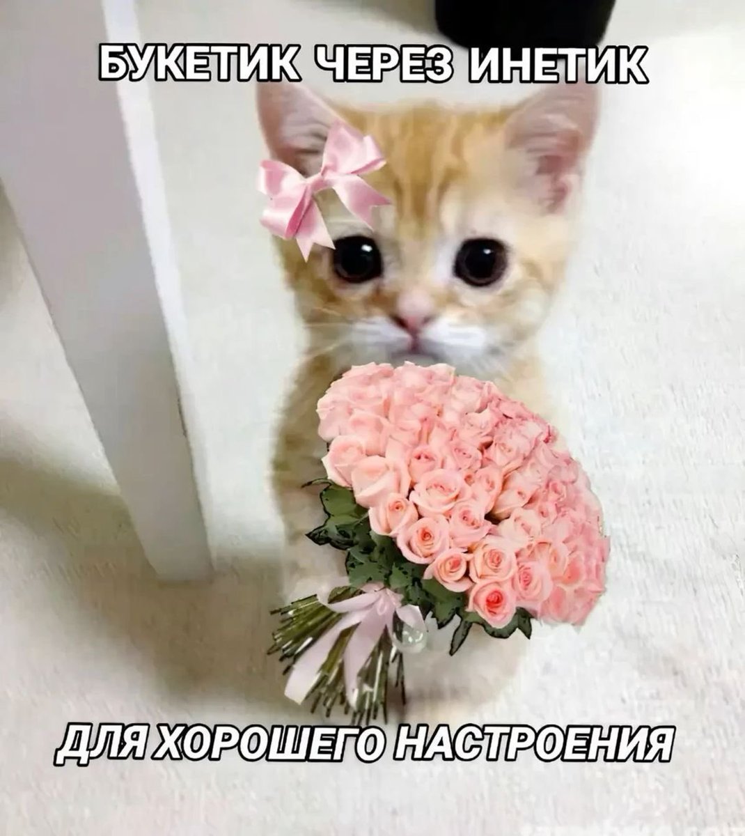 колба дотторе🧪 tweet media