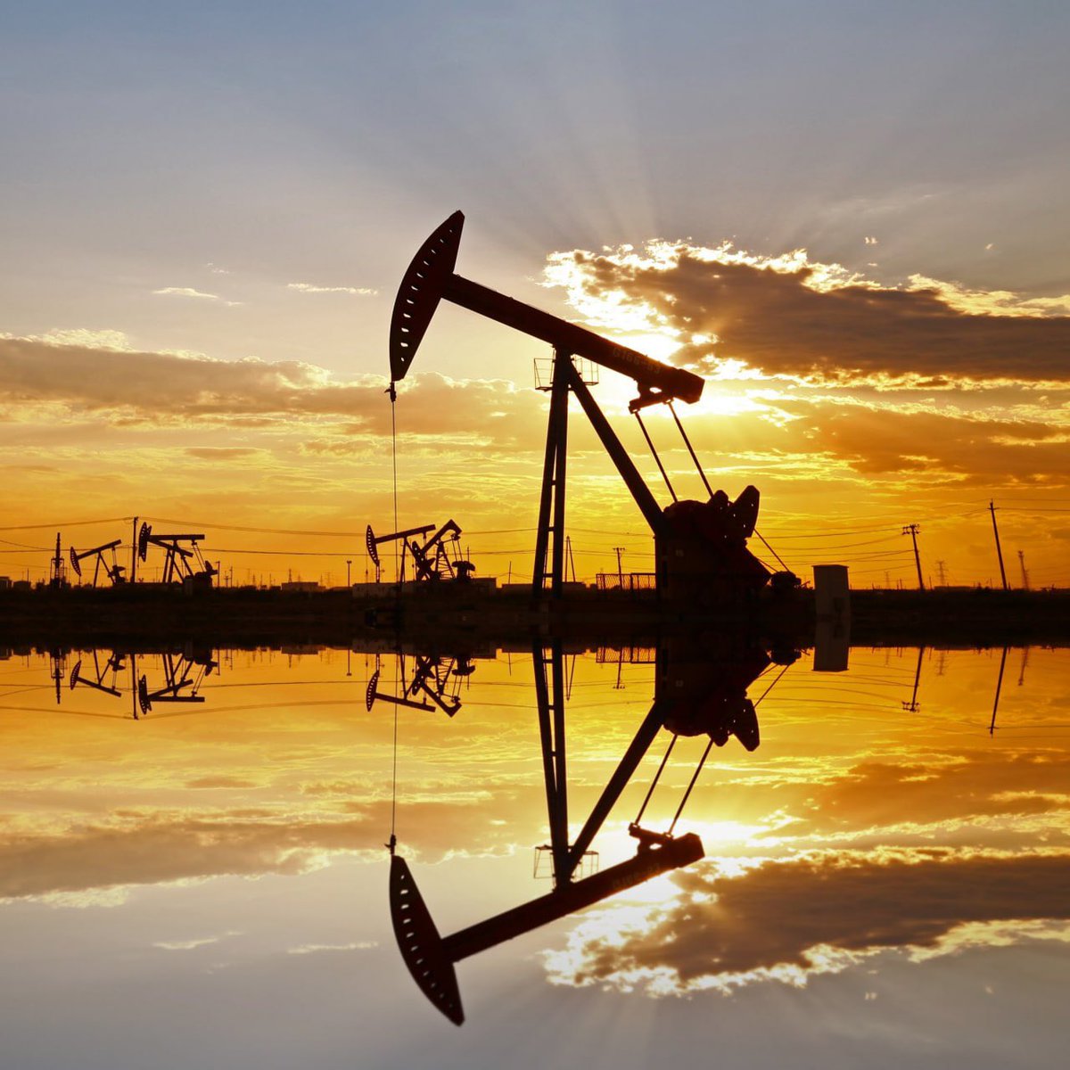 ocaltrader tweet media