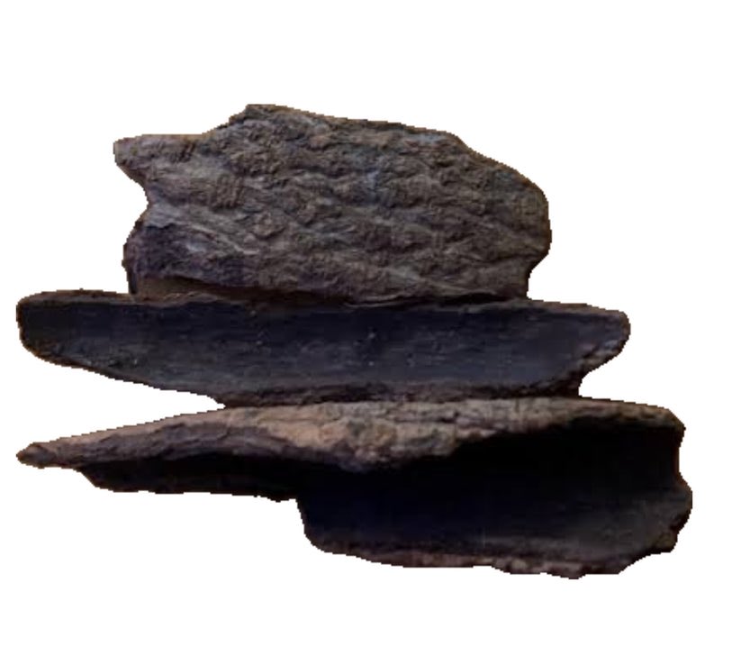 O.R.A.C.L.E 🪬🕊️ tweet media