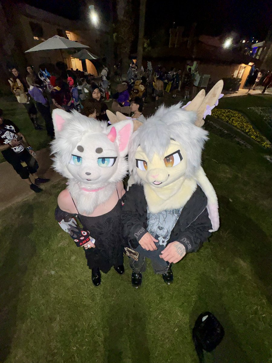 Fleur @LVFC tweet media