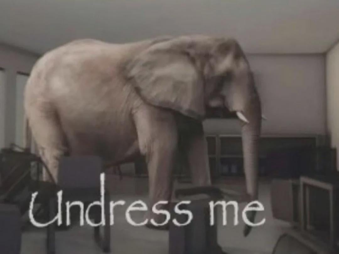 IZZ_07🐾|🍮🐙 tweet media