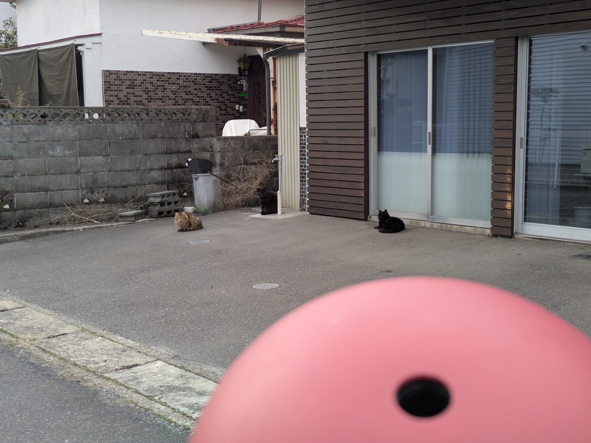 さとうようへい tweet media