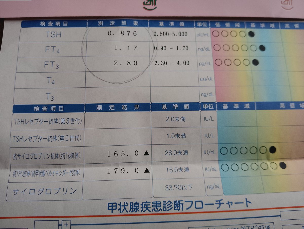 ピンちゃん tweet media