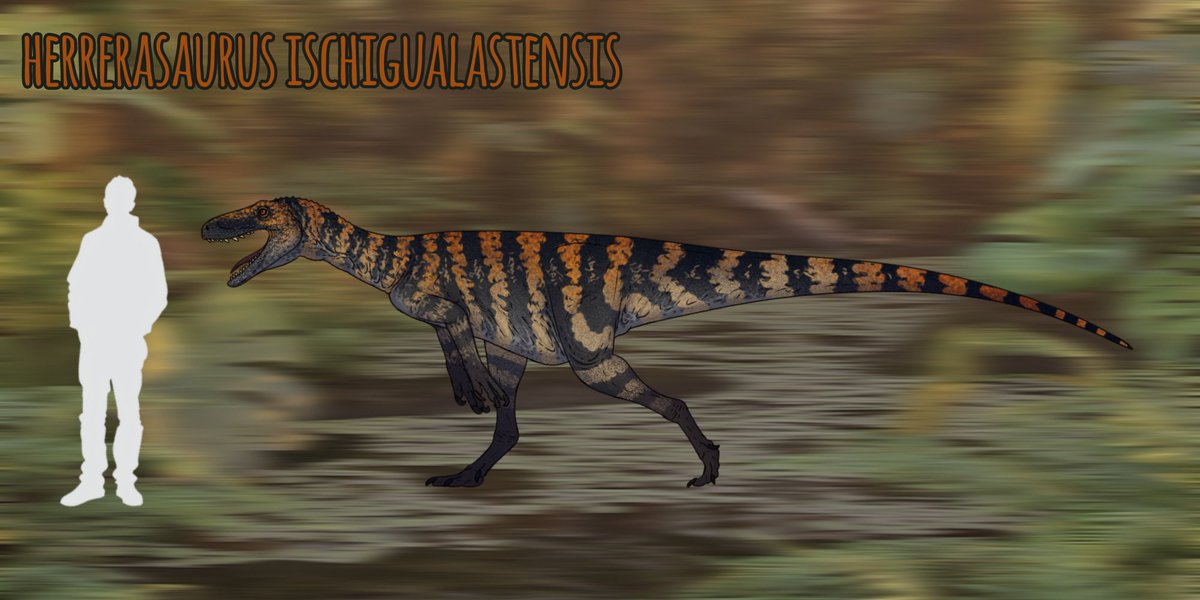 PaleoFragilis43 (open commissions) tweet media