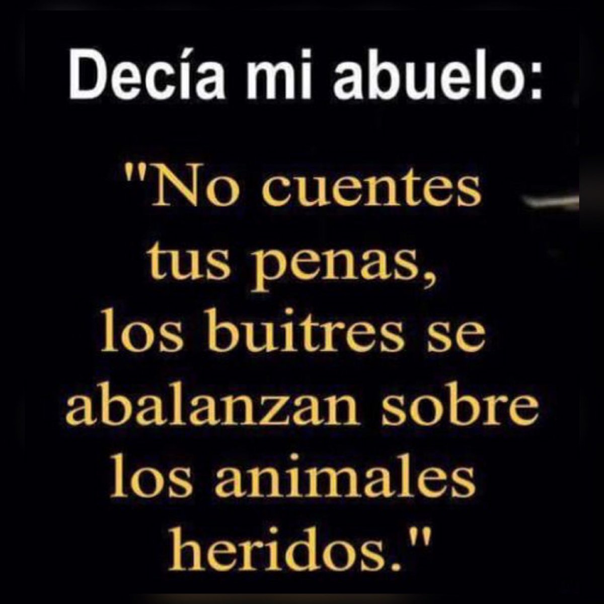 Escuela de Vida (@escueladevida21) on Twitter photo 