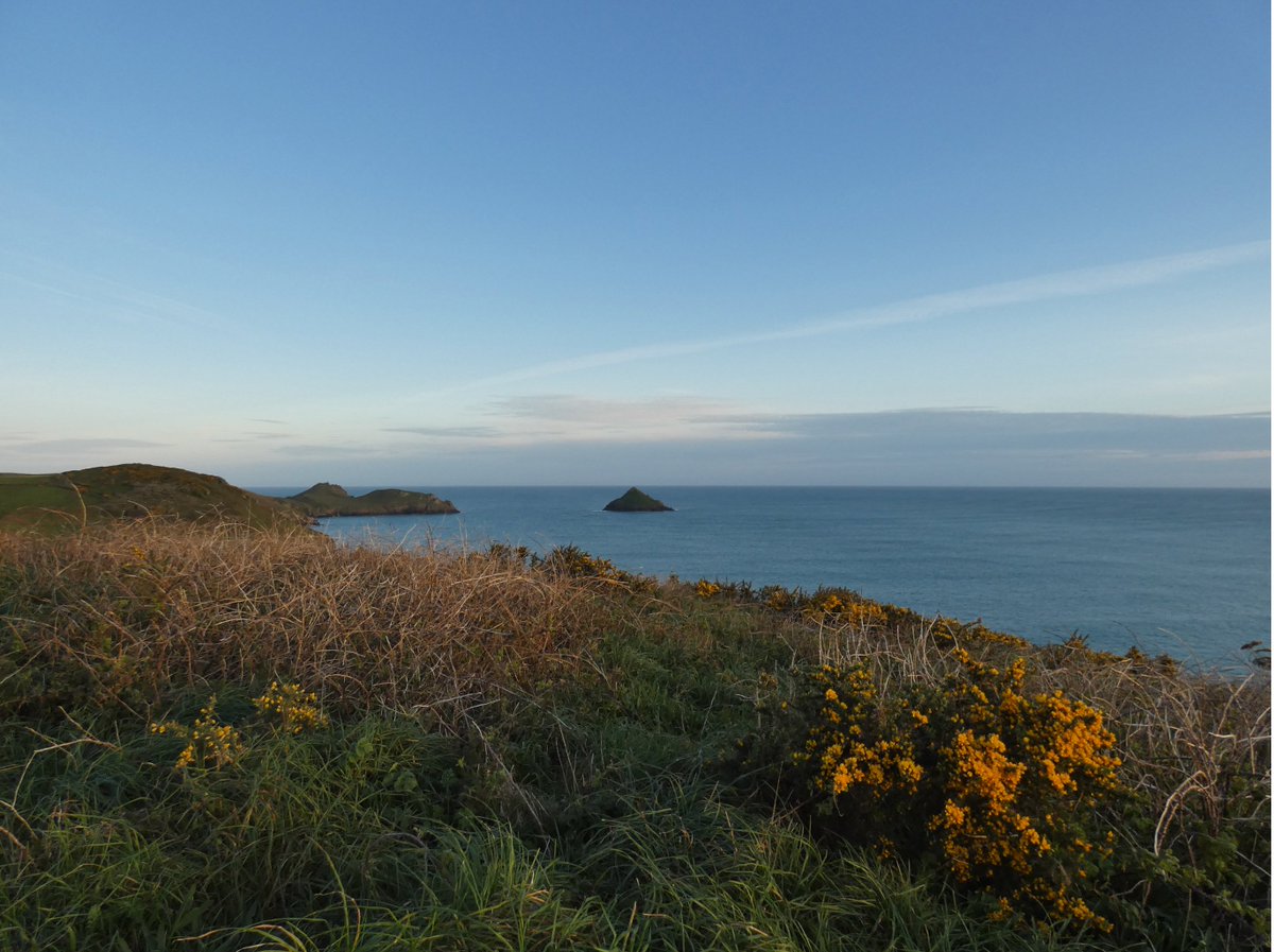 Katie Childs tweet media