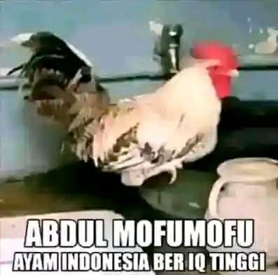 Dede Kontolunggono tweet media