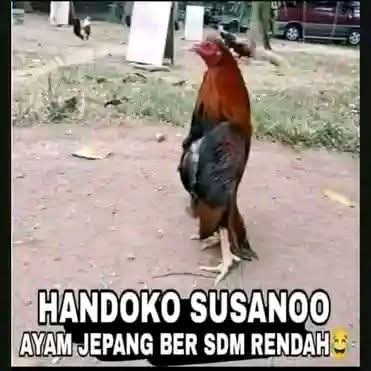 Dede Kontolunggono tweet media