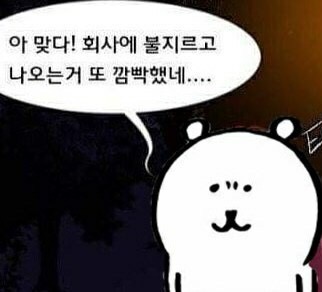 농담곰 짤 백업용 계정 tweet media