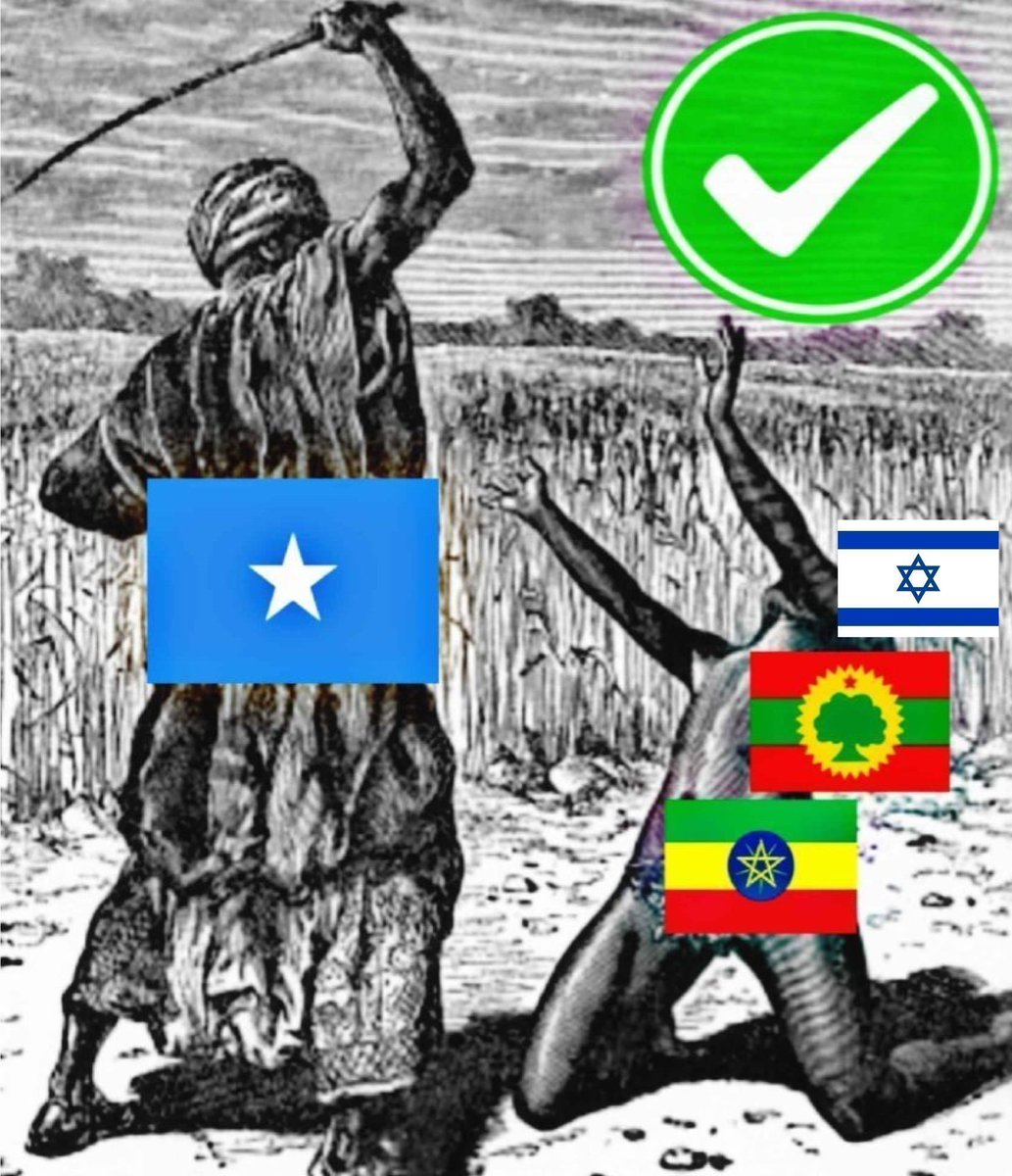 The United Greater Somalia tweet media