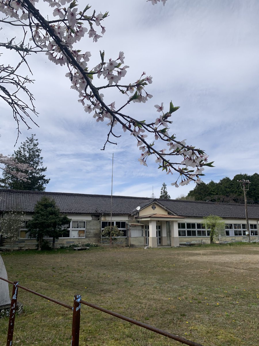 立花抹茶 tweet media