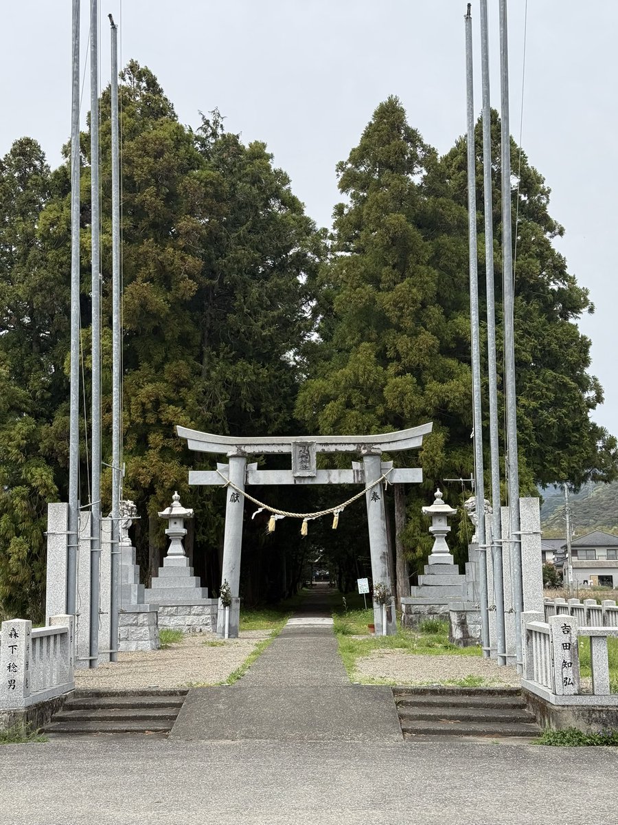 ピンキー🍀🕊️ tweet media