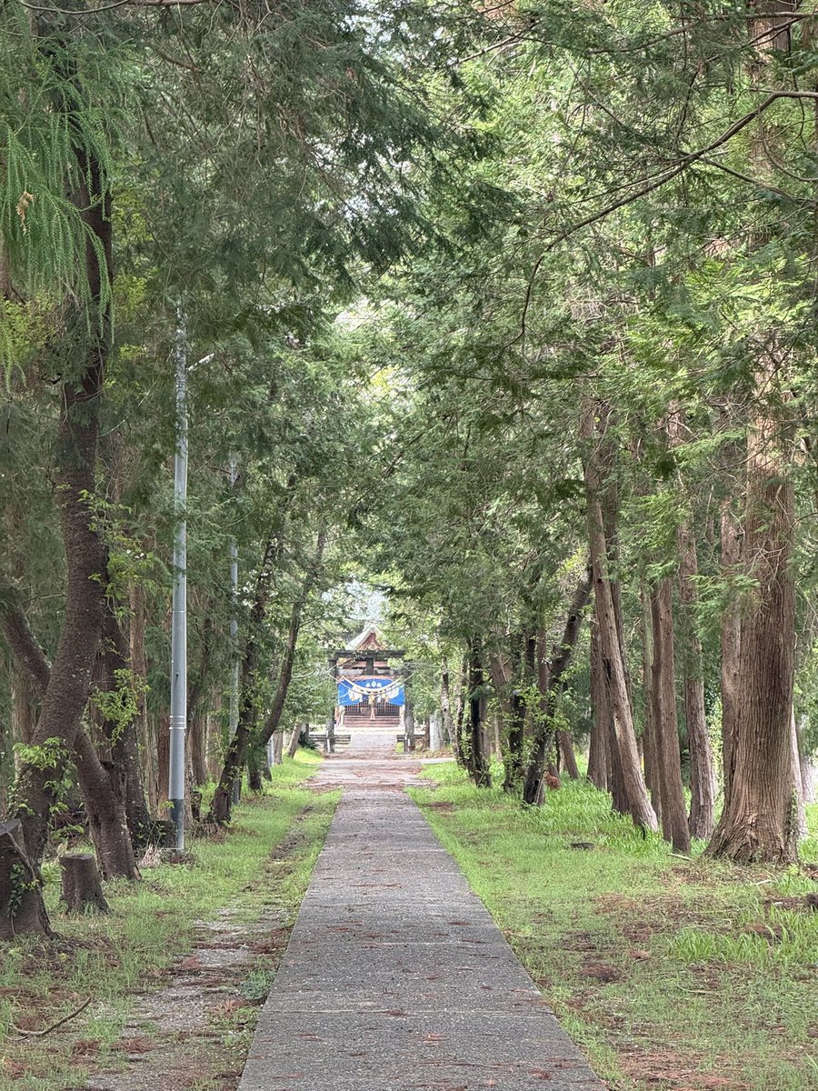 ピンキー🍀🕊️ tweet media