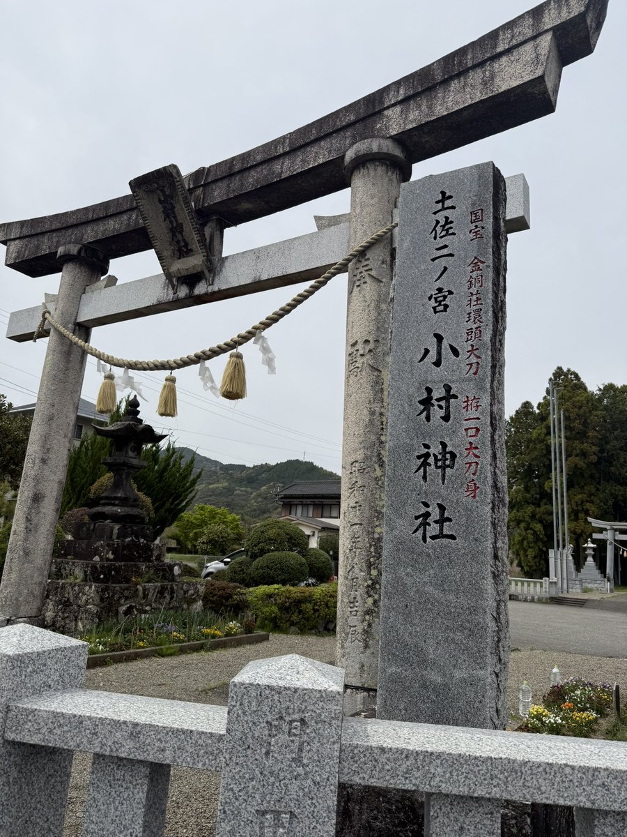 ピンキー🍀🕊️ tweet media