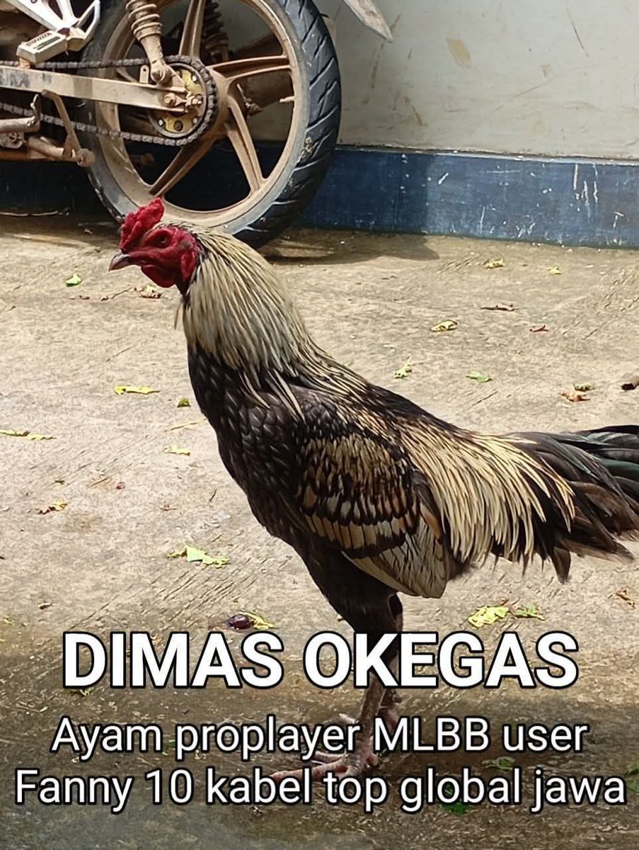 Dede Kontolunggono tweet media