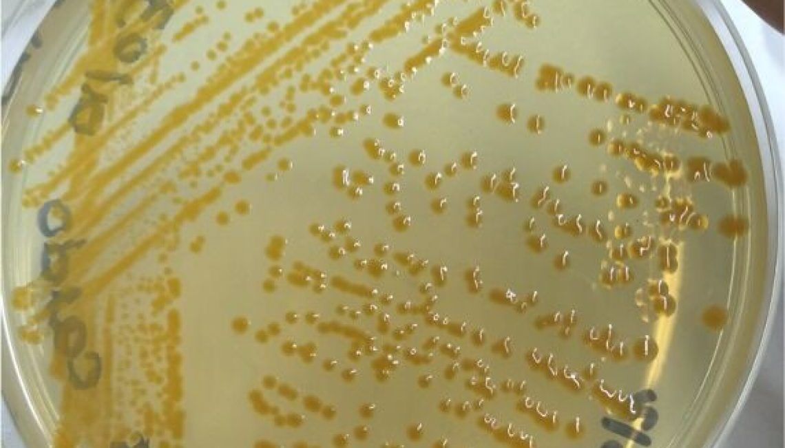 SalmonBusiness tweet media