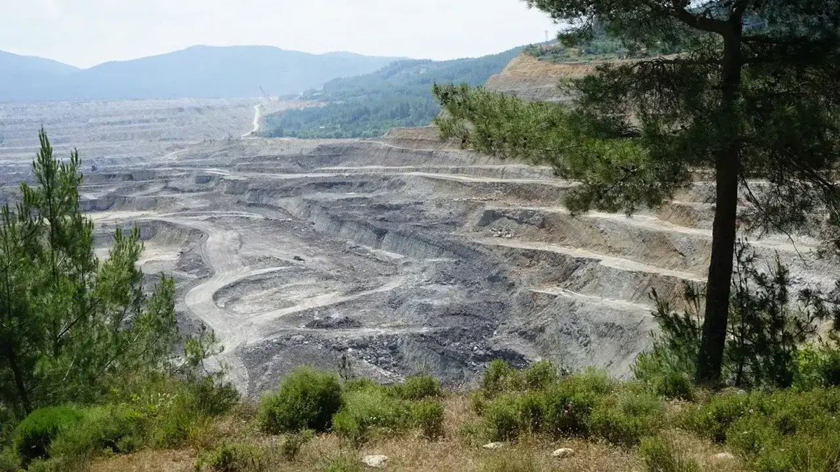 Kuzey Ormanları Savunması tweet media