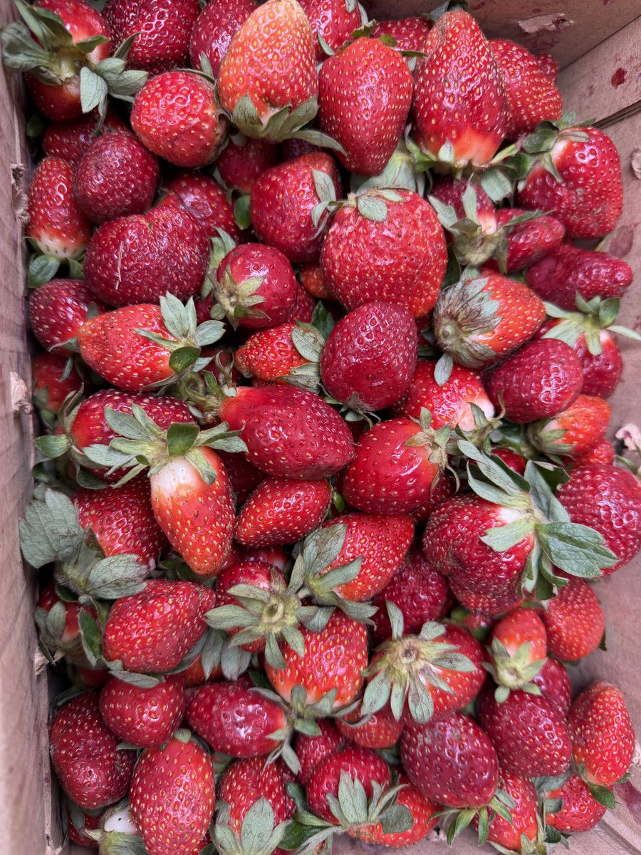 Jeribond🫆 tweet media