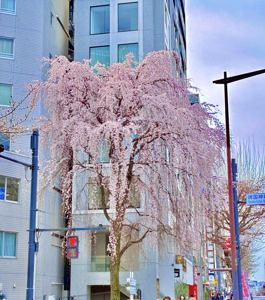 みやんちゅ。 tweet media