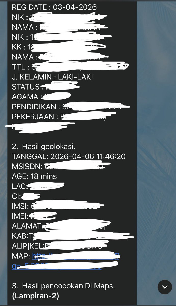 👸🏻 tweet media