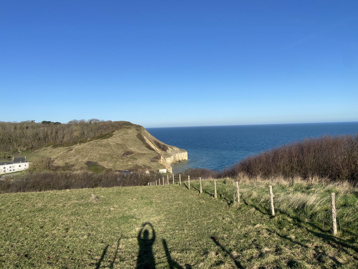 Grégory tweet media