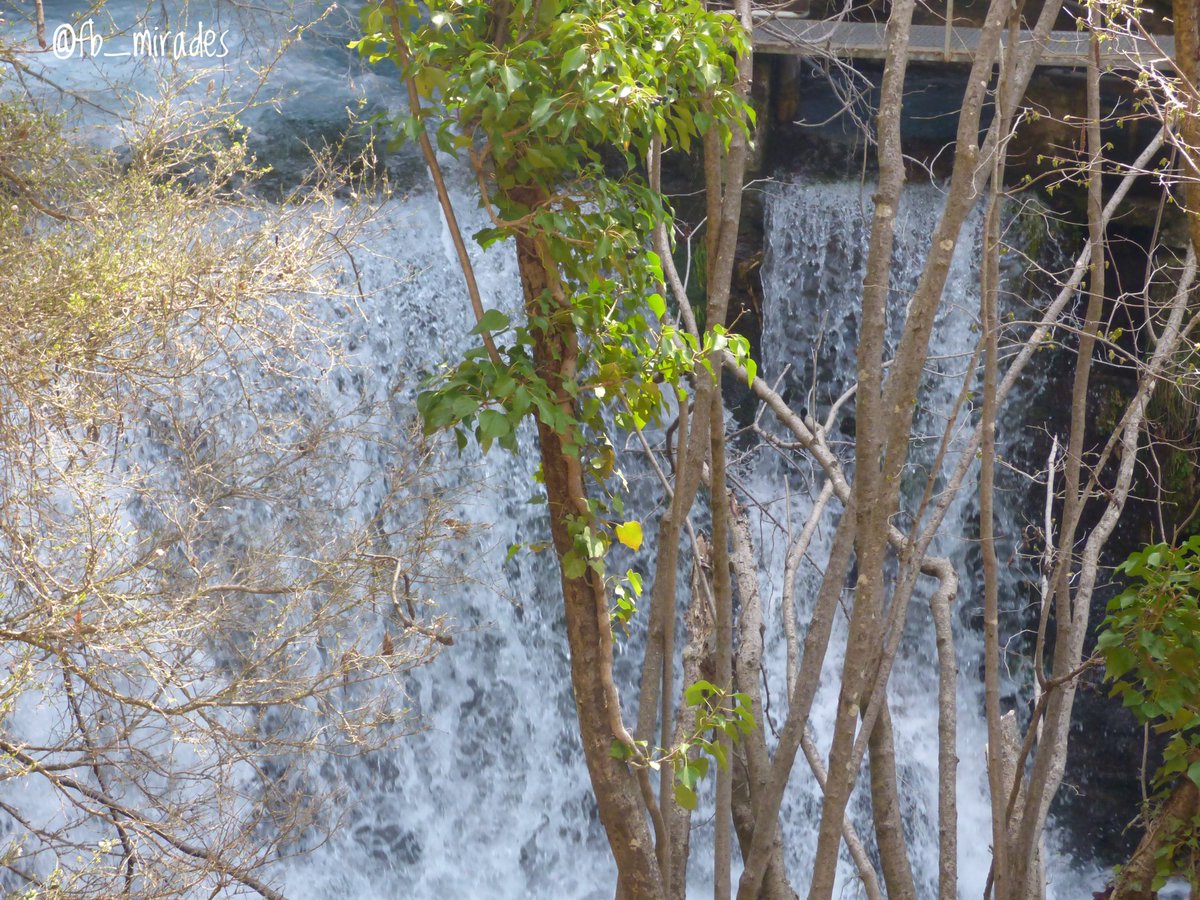 Francesc Brunés 💐🌻🪻 tweet media