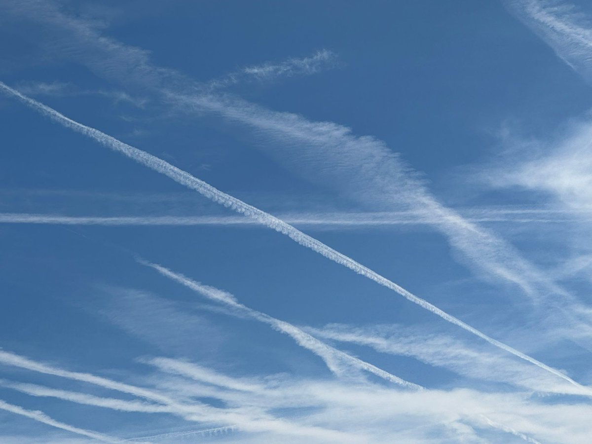 M. Markert tweet media