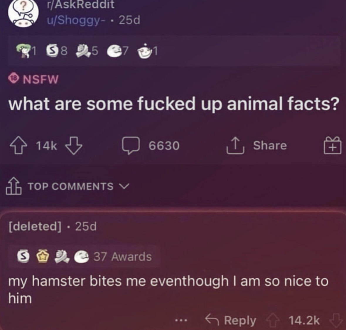 Respectful Memes tweet media