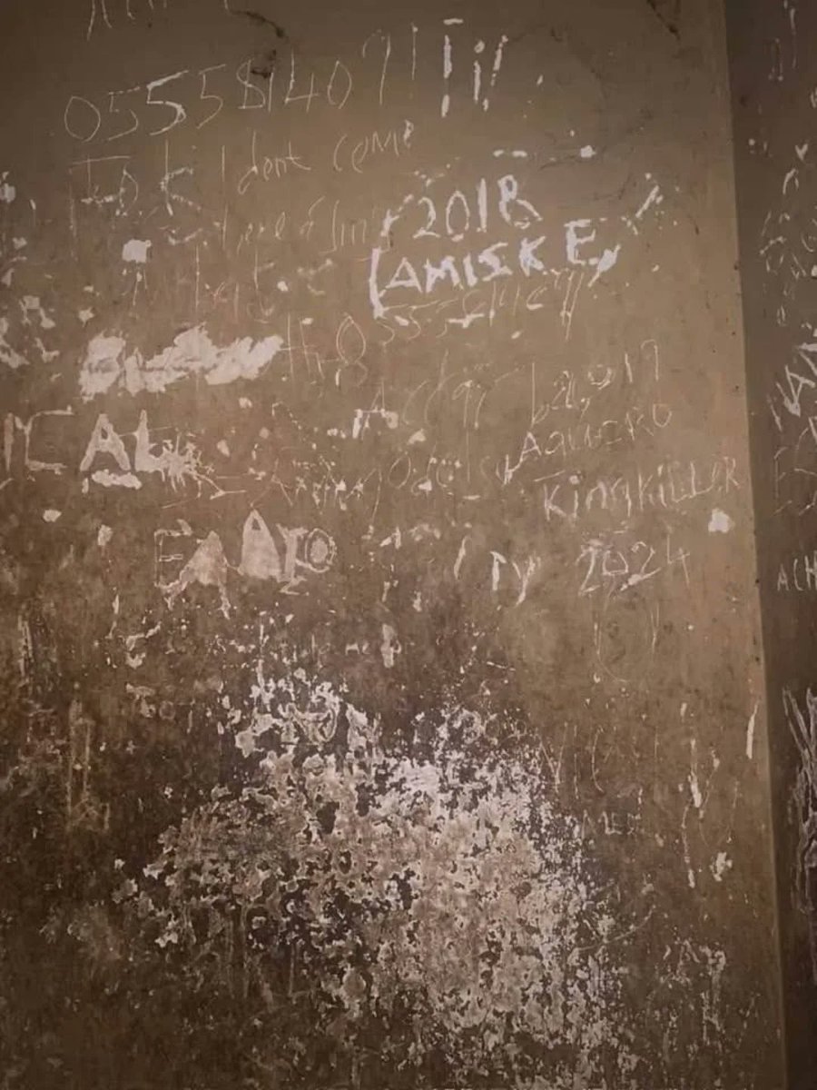 ReaganGRM tweet media