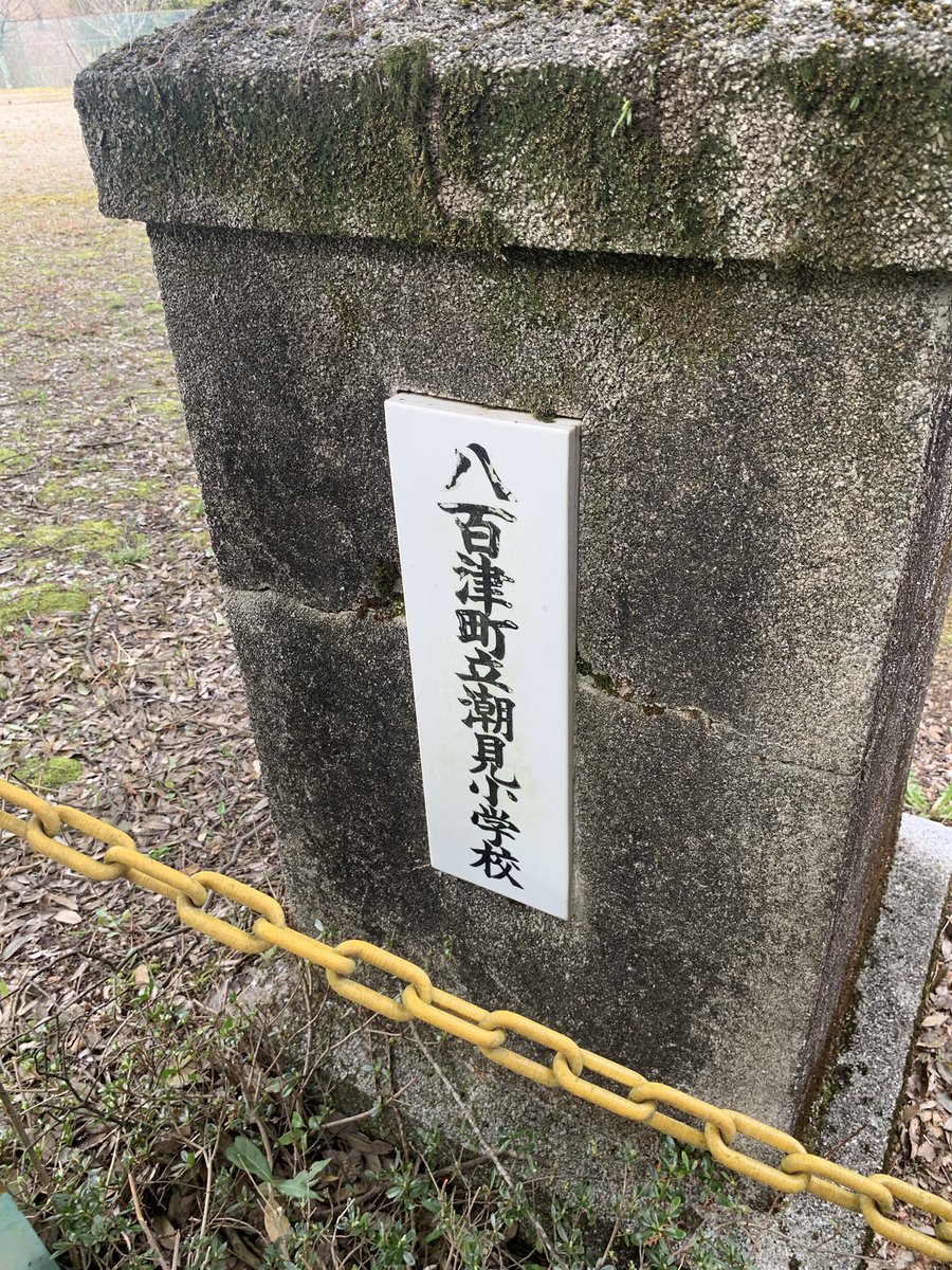 立花抹茶 tweet media