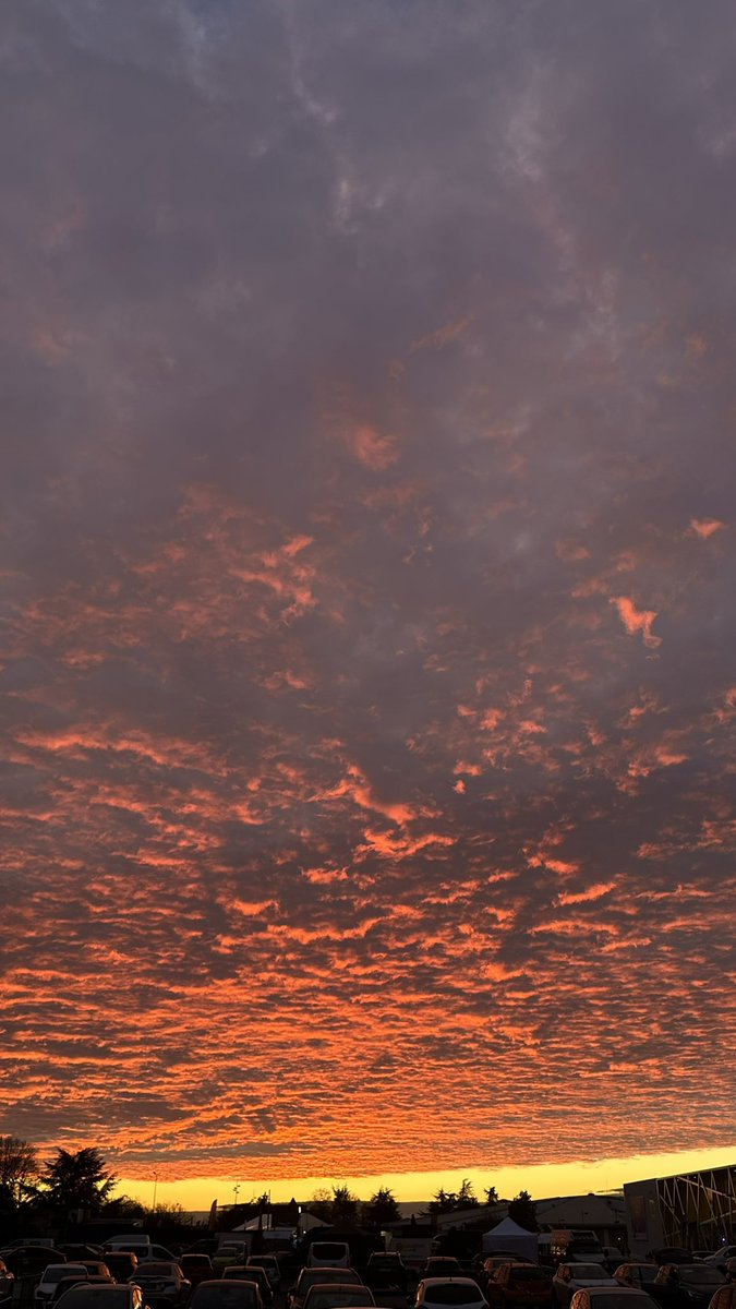 CG sierazoni tweet media