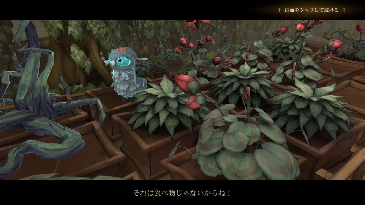 DD子@のんびり tweet media