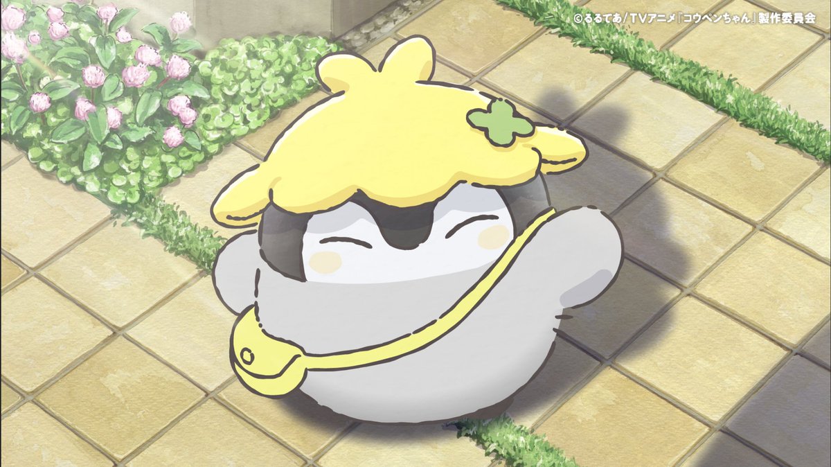TVアニメ『コウペンちゃん』公式 tweet media
