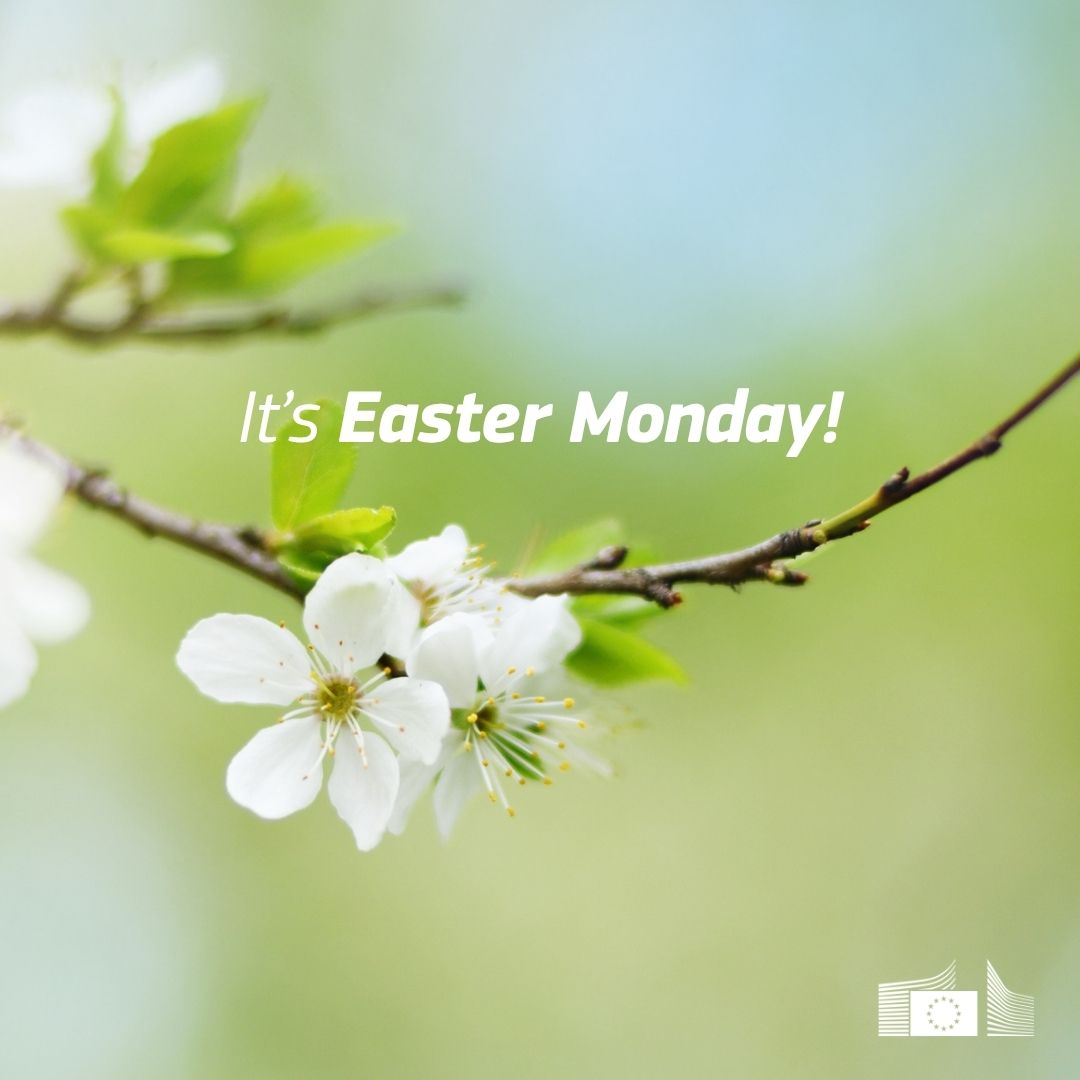 EU Social 🇪🇺 tweet media