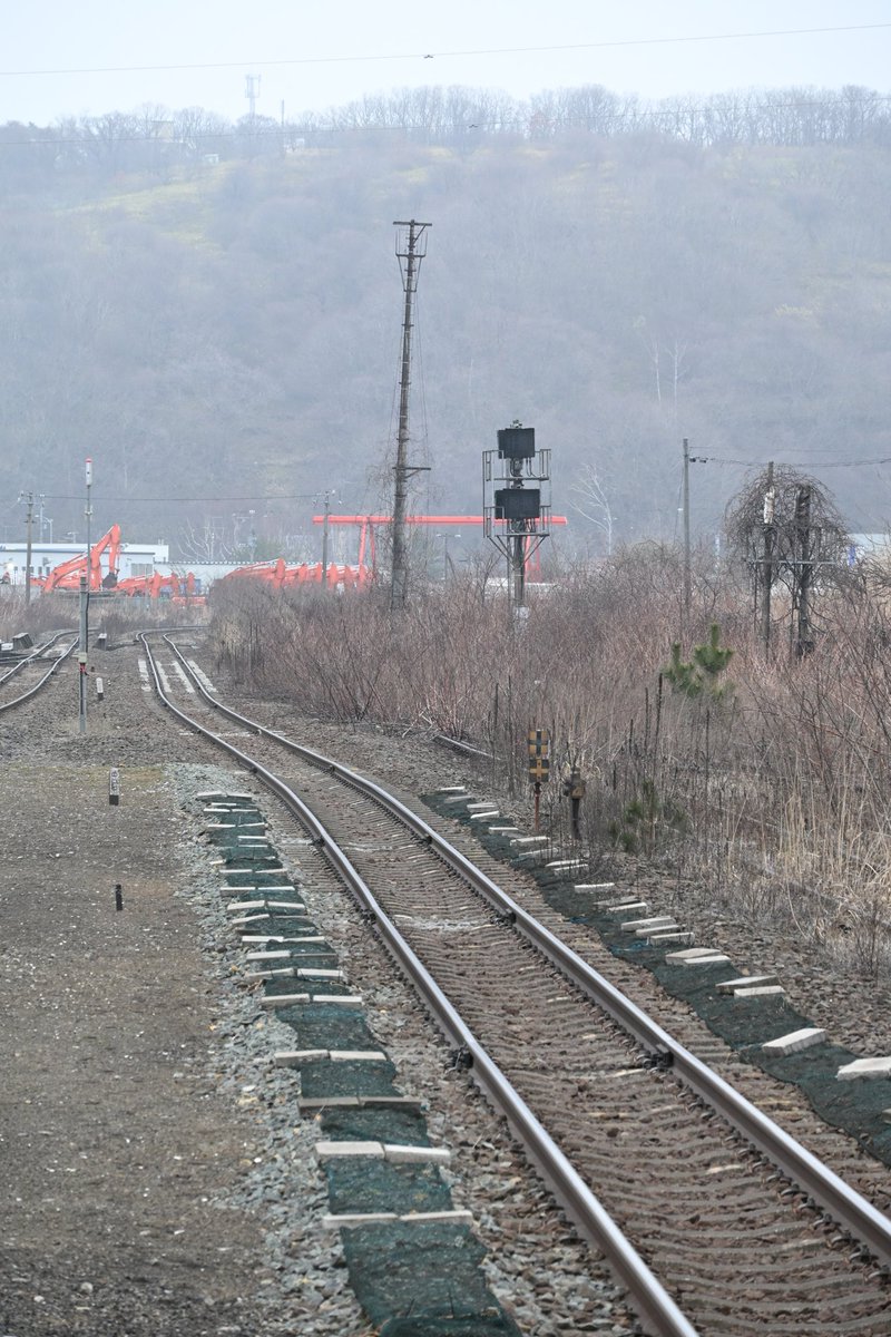 札ムロ tweet media