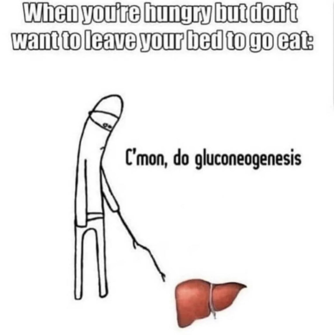 biyokimya bildiğimizi belli edelim hemen