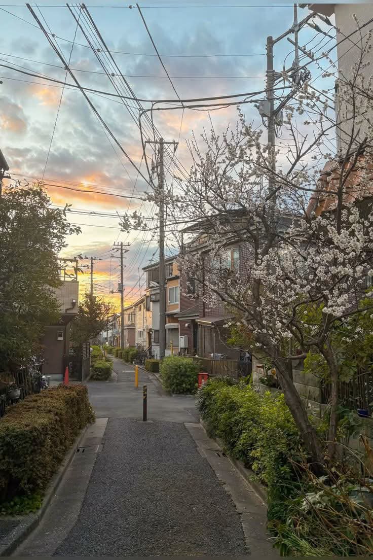 SoraHikari tweet media