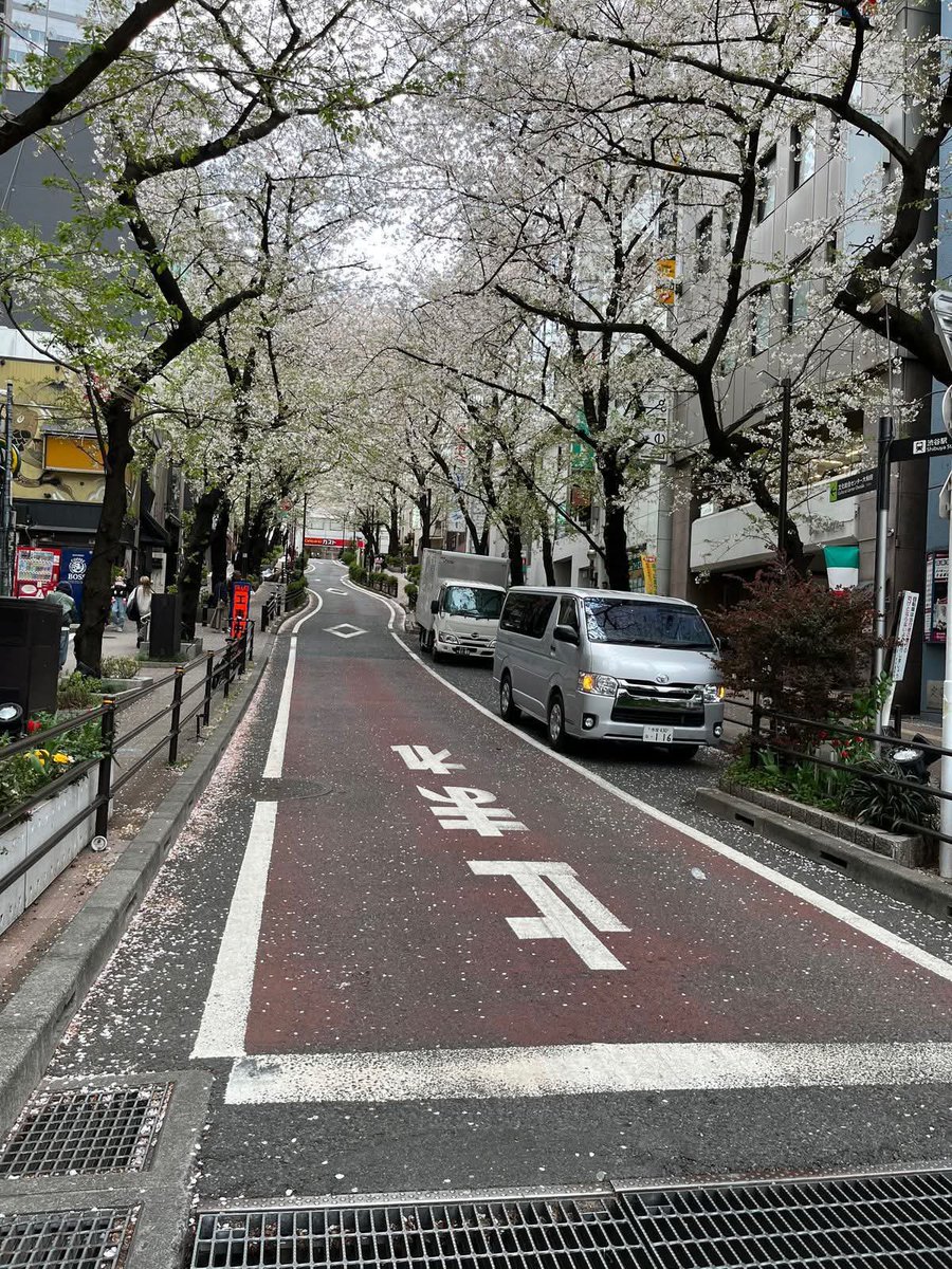 SoraHikari tweet media