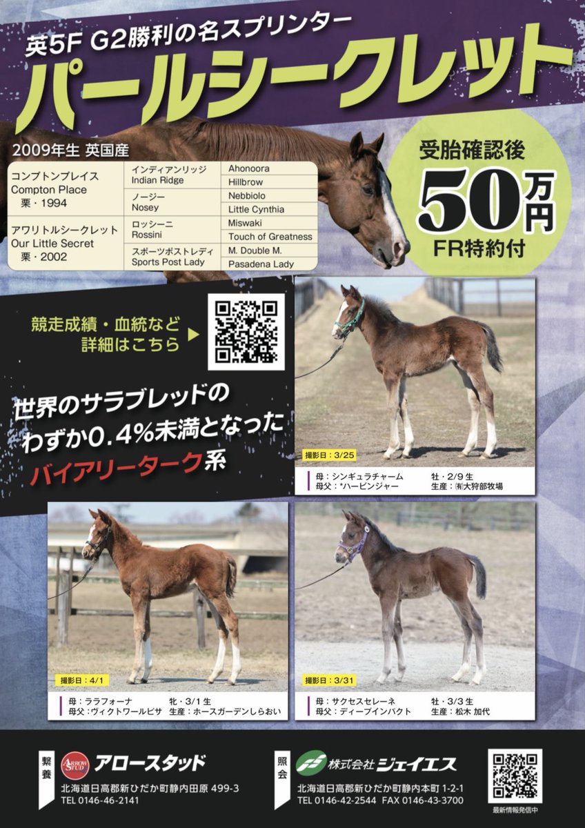 株式会社 ジェイエス&アロースタッド tweet media