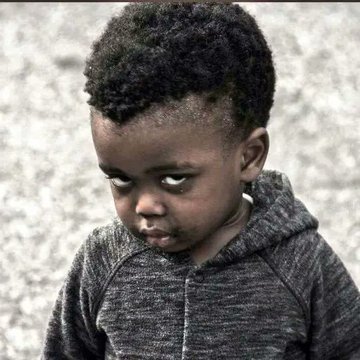 SylvanFX tweet media