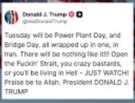 Distantspectator tweet media