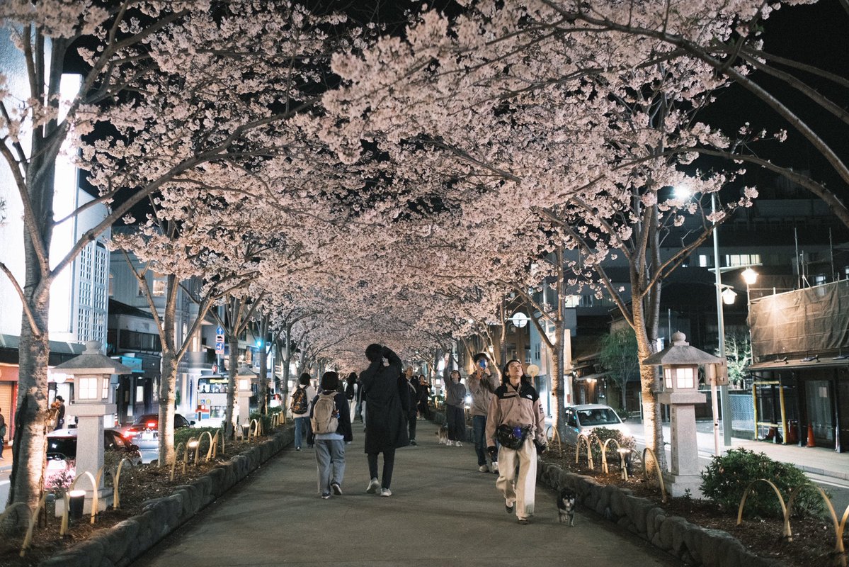 203号室 tweet media