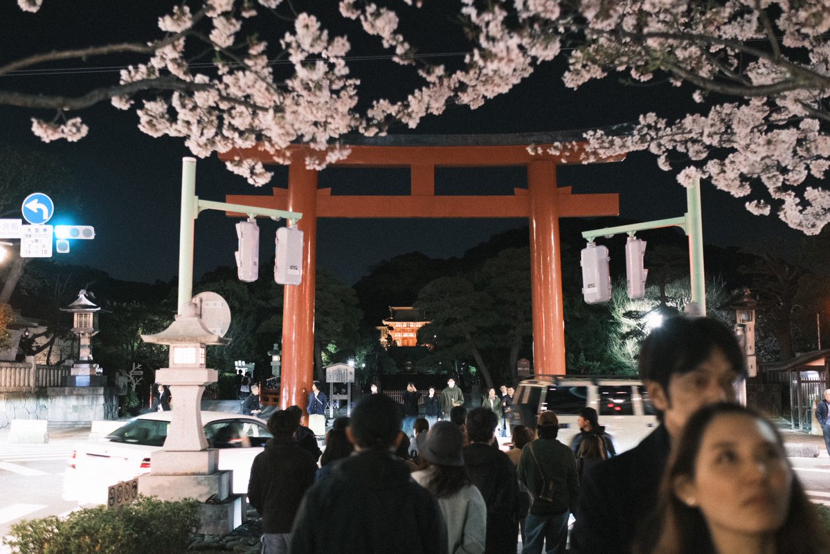 203号室 tweet media