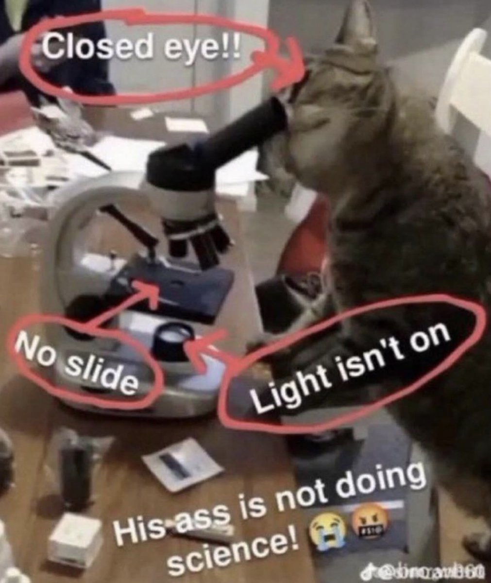 Respectful Memes tweet media