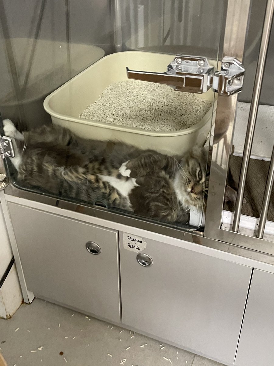 앵알이 tweet media