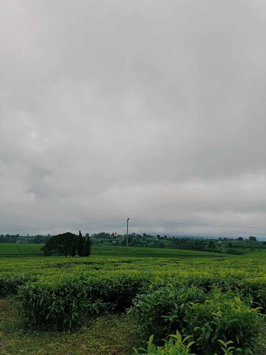 WORLD CITIZEN. tweet media