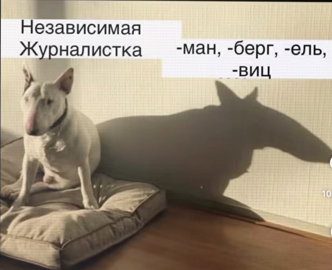 сосед с дрелью tweet media