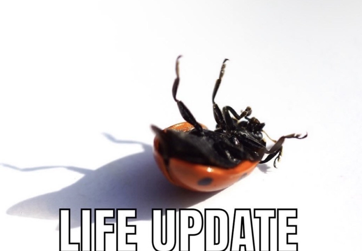 Respectful Memes tweet media