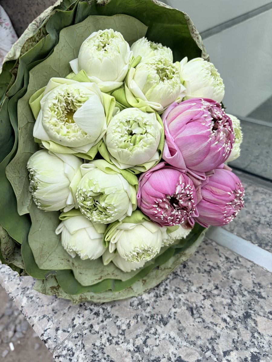 พี่กอด | REST tweet media